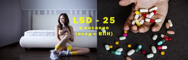 мяу мяу мука Алзамай